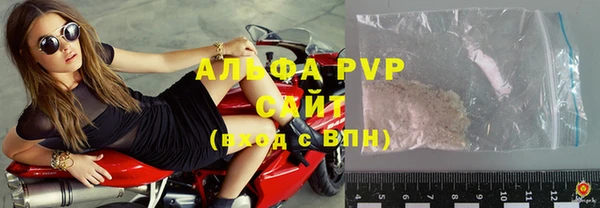 прущие грибы Ельня