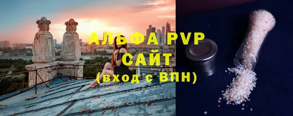 прущие грибы Ельня