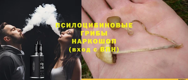 герыч Дмитров