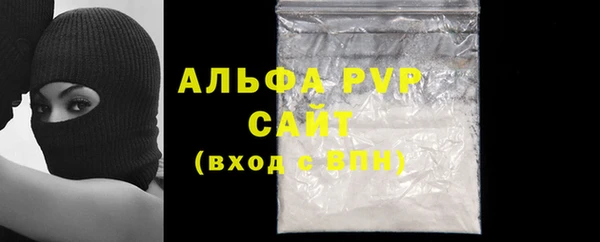 прущие грибы Ельня