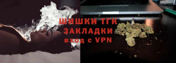 ПСИЛОЦИБИНОВЫЕ ГРИБЫ Елабуга