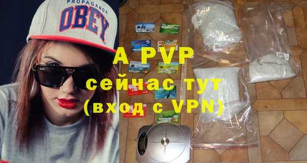 прущие грибы Ельня