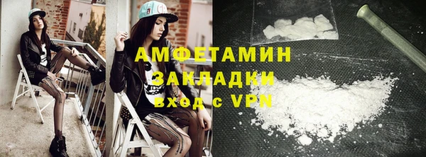 прущие грибы Ельня