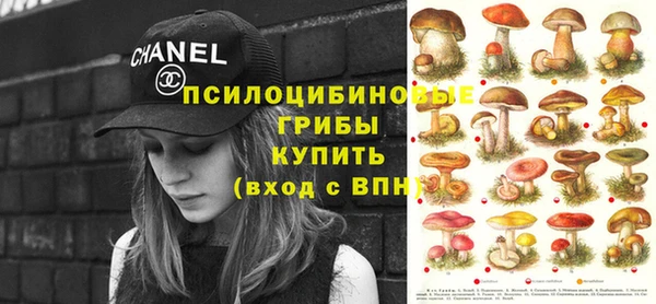 прущие грибы Ельня