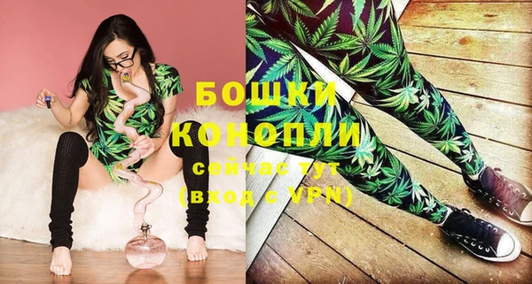 ешки Дмитровск