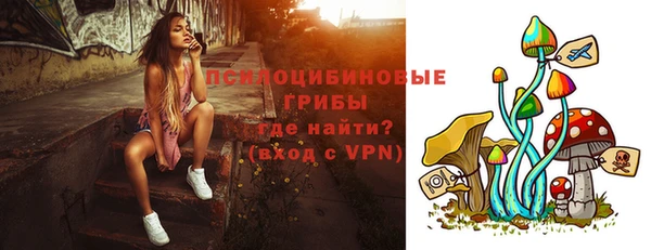 ешки Дмитровск