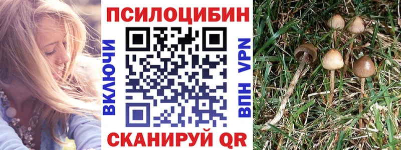 darknet клад  наркотики  Катав-Ивановск  Псилоцибиновые грибы ЛСД 